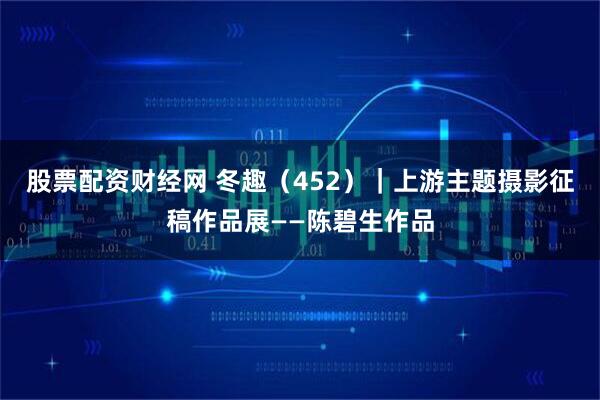 股票配资财经网 冬趣（452）｜上游主题摄影征稿作品展——陈碧生作品
