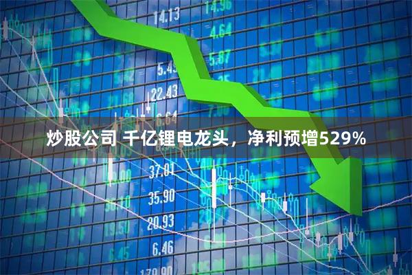 炒股公司 千亿锂电龙头，净利预增529%