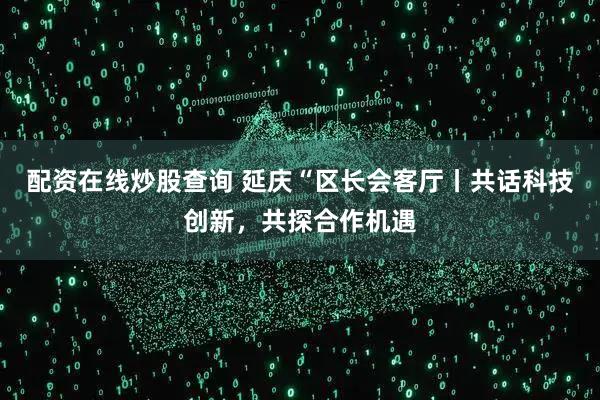 配资在线炒股查询 延庆“区长会客厅丨共话科技创新，共探合作机遇